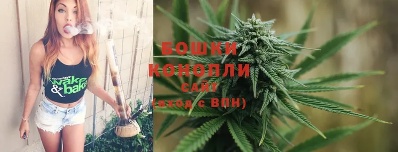 Бошки Шишки OG Kush  продажа наркотиков  Закаменск 